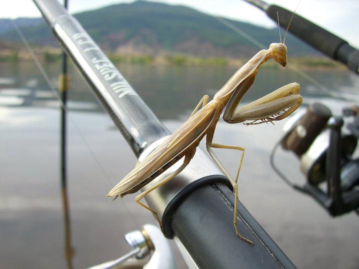 Diverse - 629171618318338323595118310n.jpg